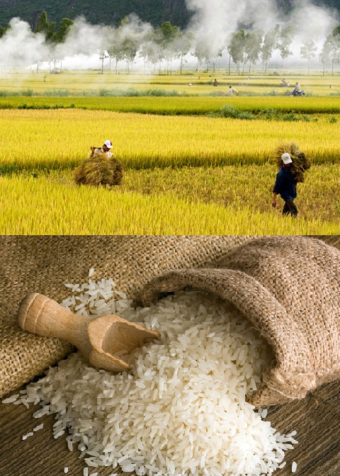 chứng nhận