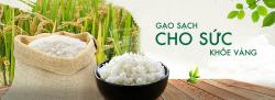 GẠO THANH HÙNG